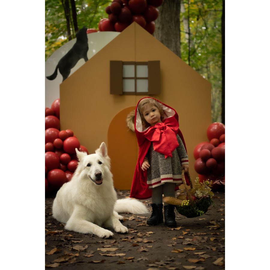 Carnevale Bellissimo Costume Cappuccetto Rosso Bambina Anni 5/6 Novità!!!