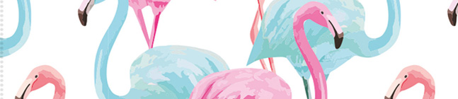 Tema di compleanno Fenicottero rosa tropicale per il tuo bambino