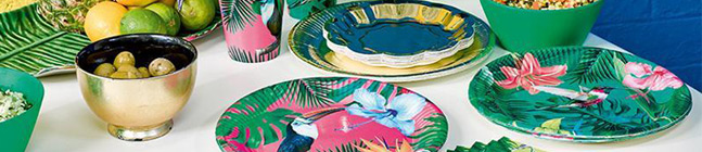 Tema di compleanno Tropical Birds per il tuo bambino