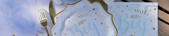 Tema di compleanno Baby Boy per il tuo bambino