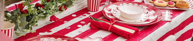 Tema di compleanno Mix&Match Rosso e Bianco per il tuo bambino