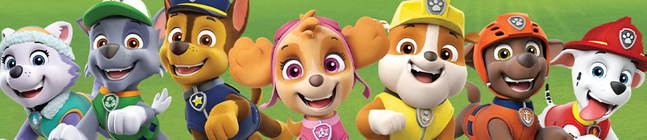 Tema di compleanno Paw Patrol Rescue Heroes per il tuo bambino