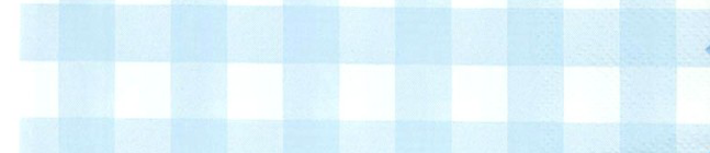 Tema di compleanno Smerlata Vichy blu per il tuo bambino