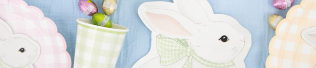 Tema di compleanno Pastello Vichy per il tuo bambino