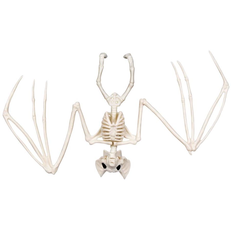 Set 3 Scheletri Di Halloween Ragno Pipistrello Topo - Ossa Finte In ABS - Decorazioni Spaventose Per Casa E Giardino - 3