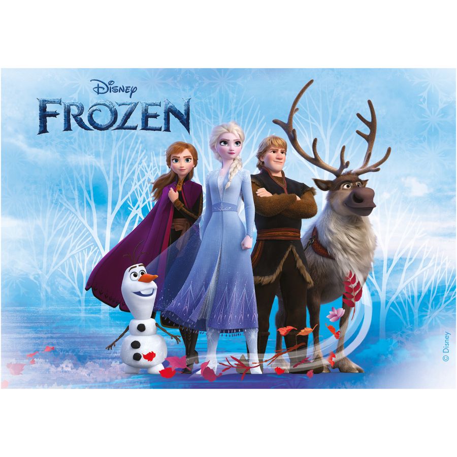 Piatto rettangolare Frozen - Commestibile per il compleanno del tuo bambino  - Annikids