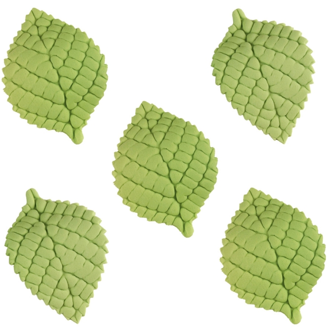 5 foglie di zucchero maxi 