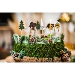 20 Cake Toppers Indiani della foresta. n1