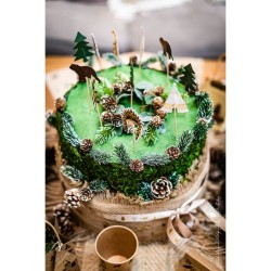20 Cake Toppers Indiani della foresta. n2