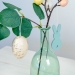 5 Rami Foglie di Eucalyptus verdi. n5