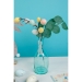 5 Rami Foglie di Eucalyptus verdi. n6