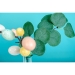 5 Rami Foglie di Eucalyptus verdi. n7