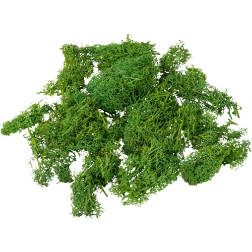 Muschio naturale 