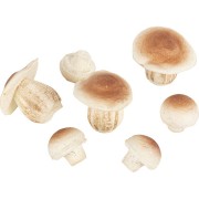 7 Funghi in gomma piuma