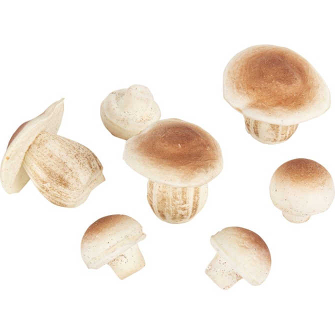 7 Funghi in gomma piuma 