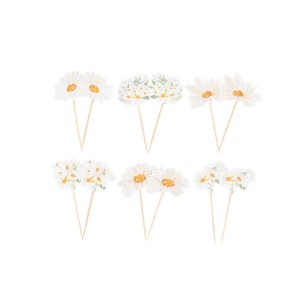 12 cake toppers Daisy