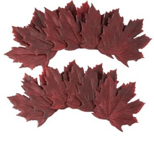 Set di 12 foglie d'acero viola - 10,5 cm