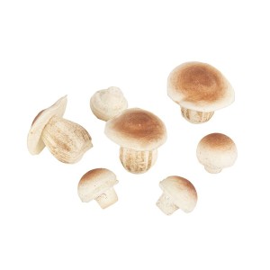 Set di 7 funghi in schiuma di colore naturale