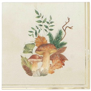 16 tovaglioli 