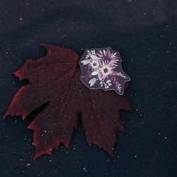 100 coriandoli 
