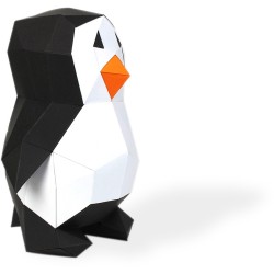 Trofeo Piccolo Pinguino - Carta 3D. n°1