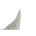 Trofeo Rinoceronte Grigio - Carta 3D. n4