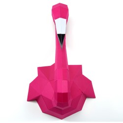 Trofeo Fenicottero Rosa - Carta 3D. n2