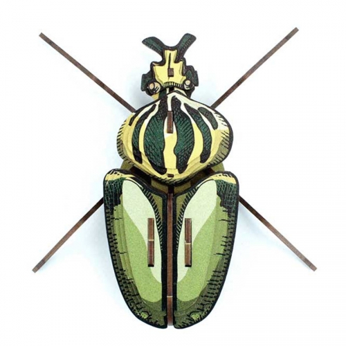 Trofeo Insetto - Globulus Giganticus 