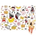 6 Tovagliette Pirata Color - Riciclabile. n1