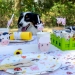 6 Piatti Animali della fattoria - Riciclabili. n4