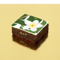 Brownies puzzle Tropicale. n1