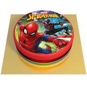 Torta Spiderman - Ø 20 cm Cioccolato