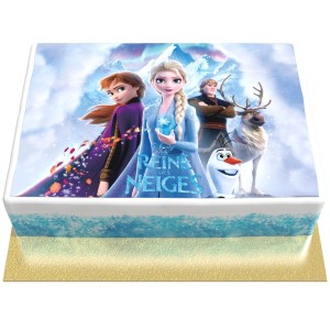 Torta Frozen - 26 x 20 cm