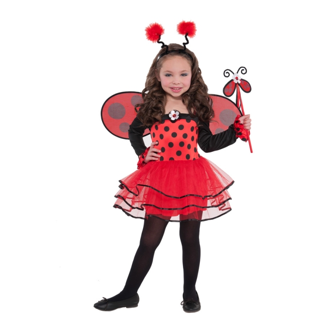 Costume Fata Coccinella 3-4 anni 