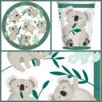 Party box Koala