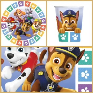 Party Box Paw Patrol