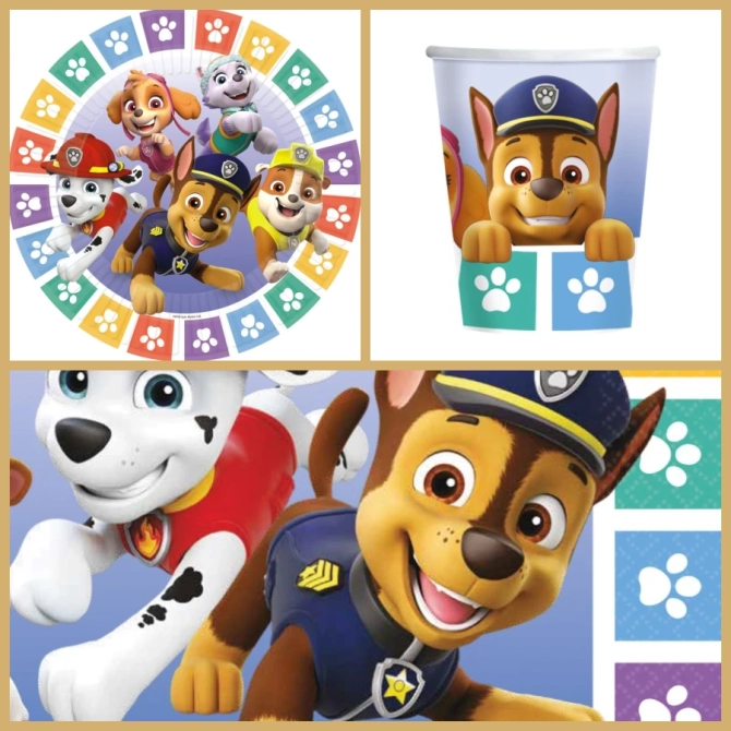 Party Box Paw Patrol 