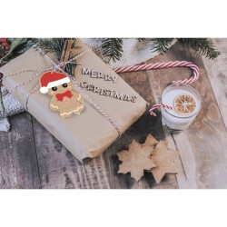 10 etichette regalo di Natale (8 cm). n2