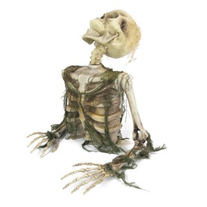 Spaventoso scheletro morto vivente