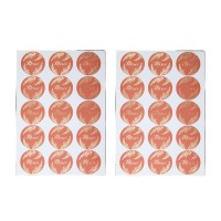 10 Etichette Regalo - Terracotta e Oro