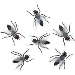 6 grandi mosche (5 cm). n1