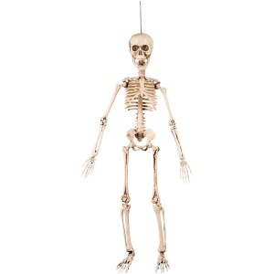 Appendino mobile per scheletri (50 cm)