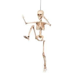 Appendino mobile per scheletri (50 cm). n°3