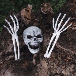 Set di scheletri sepolti. n°6