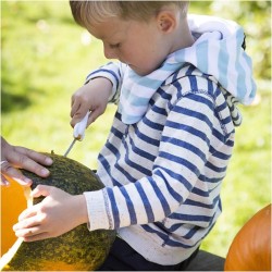 Kit per togliere il torsolo di zucca. n3