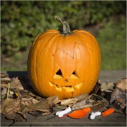 Kit per togliere il torsolo di zucca. n4
