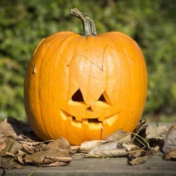 Kit per togliere il torsolo di zucca. n6
