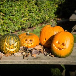Kit per togliere il torsolo di zucca. n7