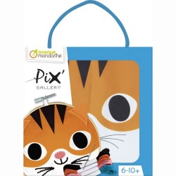 Pix Gallery - Tamburello Gatto. n°1