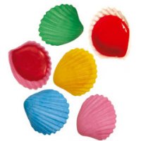 1 conchiglia di Roudoudou